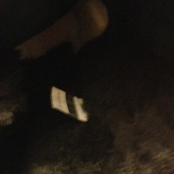 Bailey Bow II Checker - Picture 5 of 8